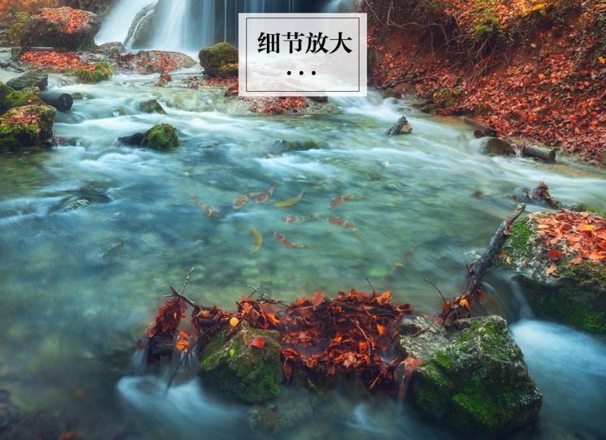 救援瓢虫宝宝